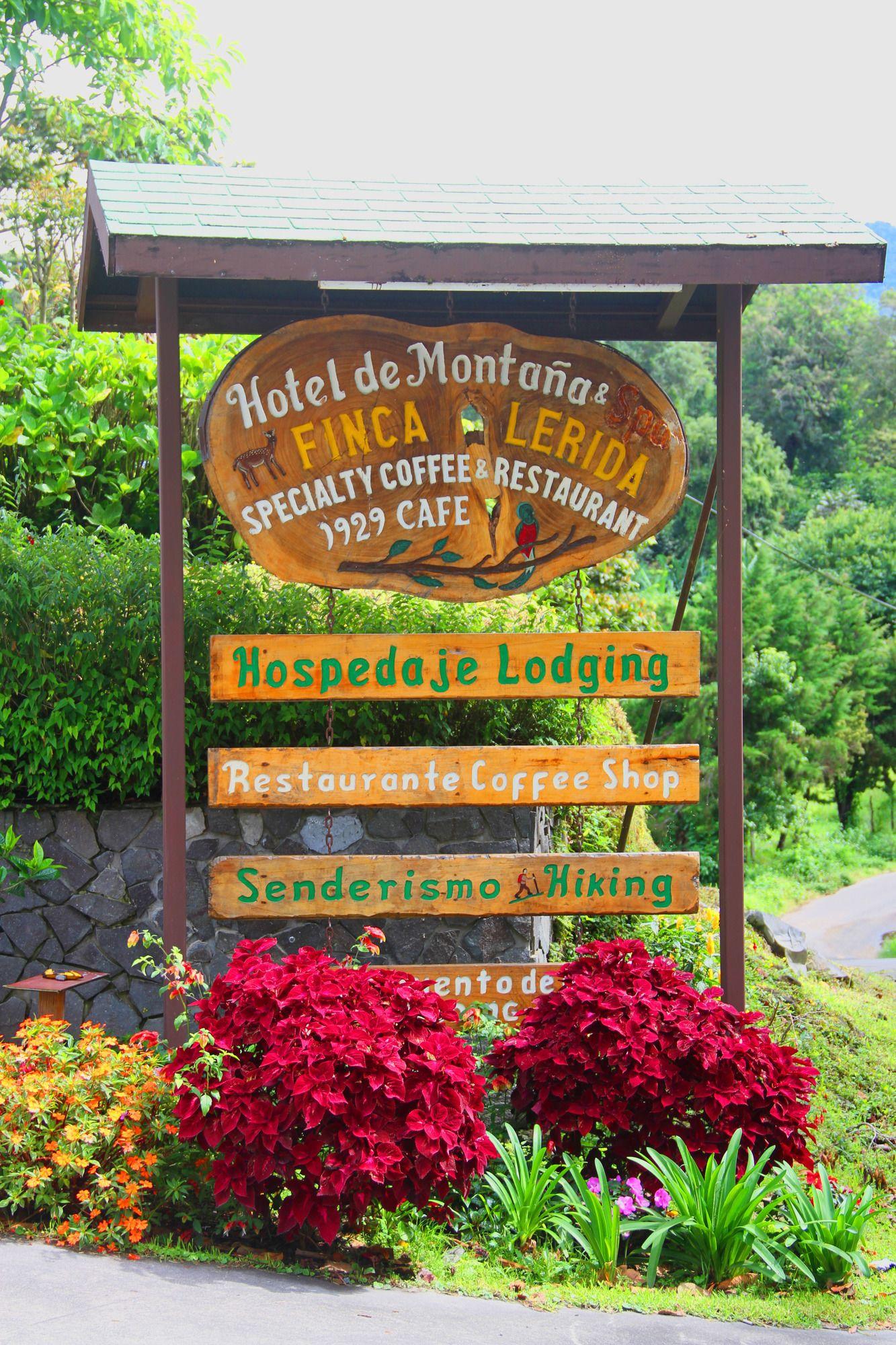 芬卡莱里达咖啡种植园和精品酒店 下博克特 外观 照片